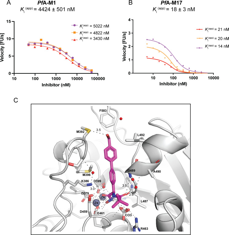 Figure 4—figure supplement 1.