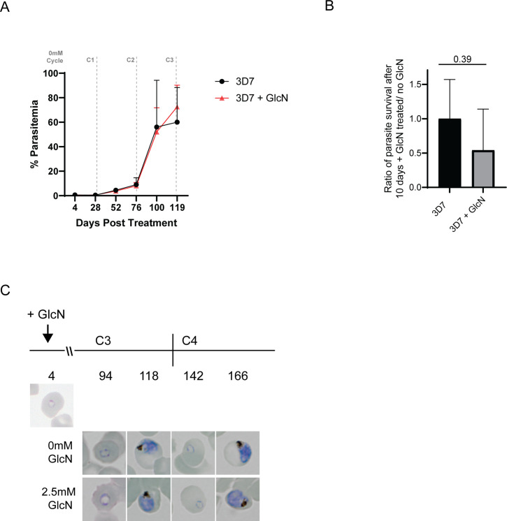 Figure 3—figure supplement 2.