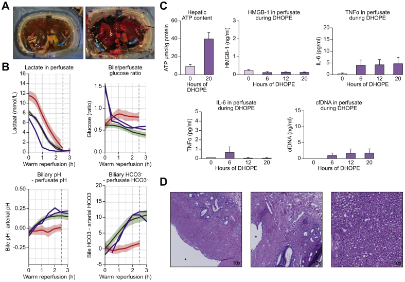 Fig. 7