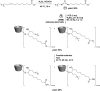 SCHEME 3