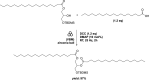 SCHEME 10