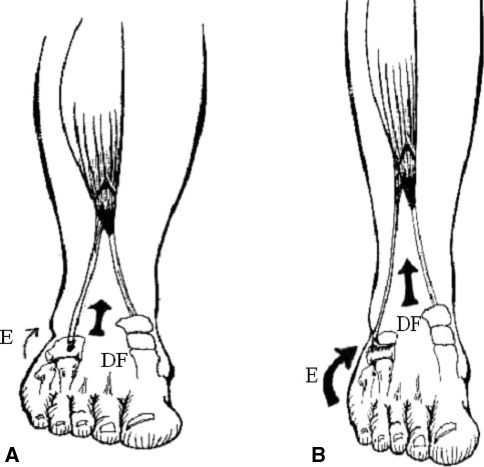 Fig. 2A–B