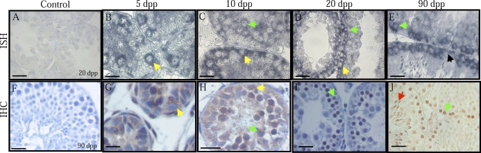 FIG. 6.