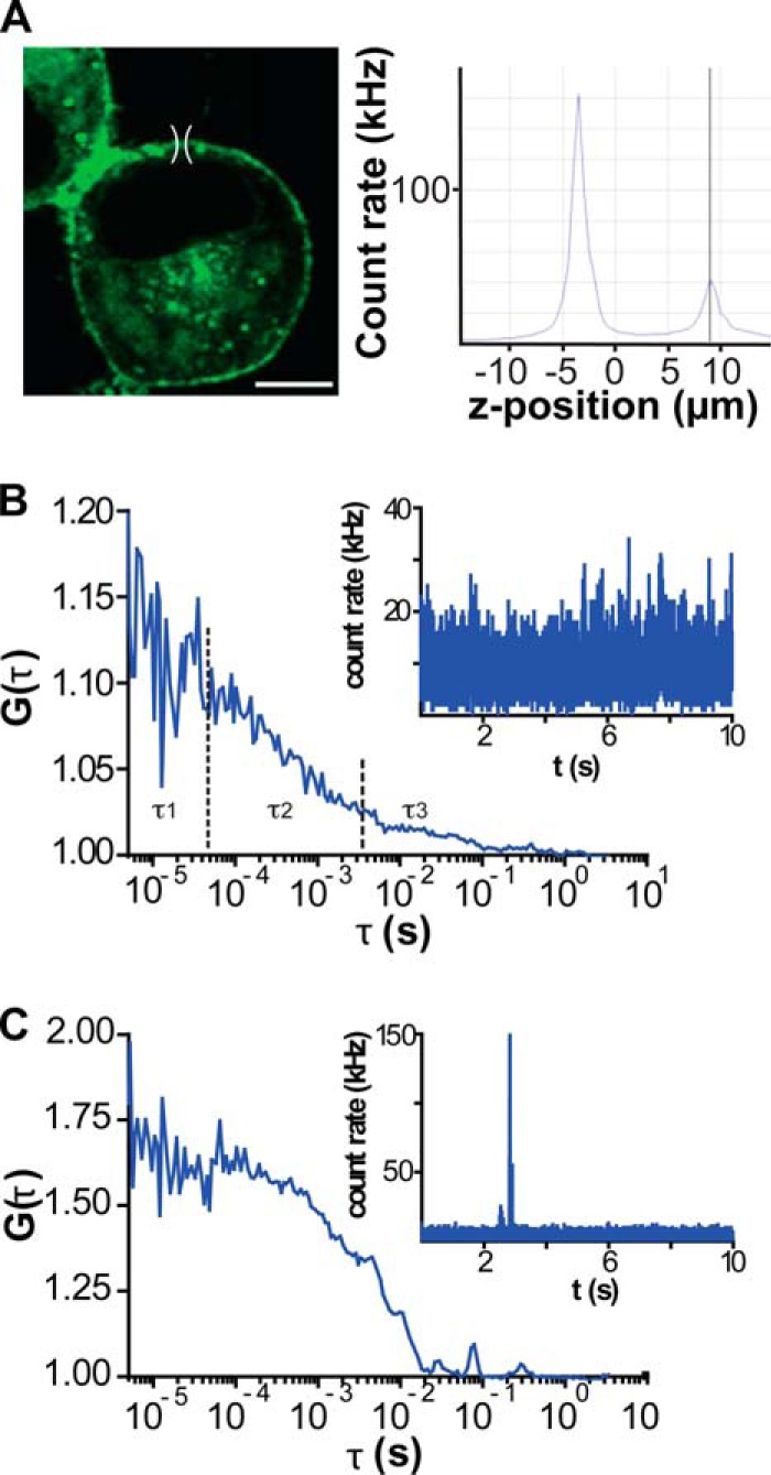 FIGURE 1.