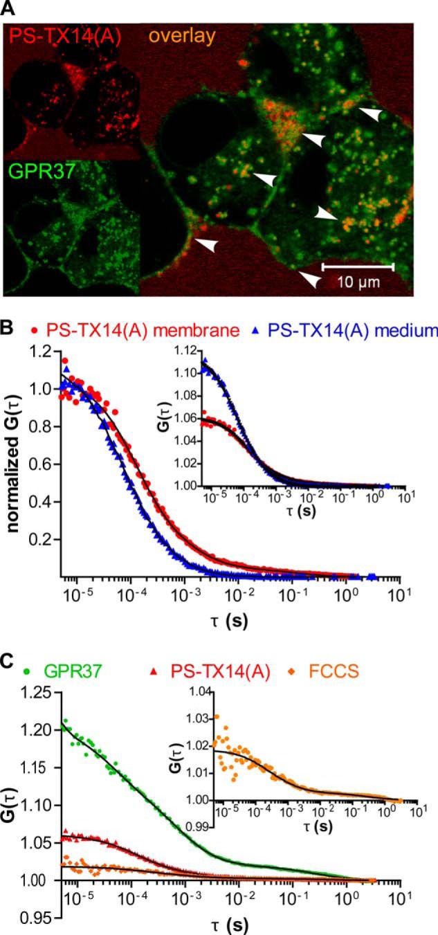 FIGURE 4.