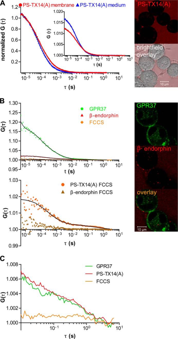 FIGURE 5.