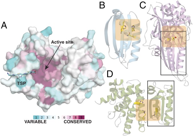 Fig. 6.