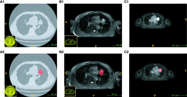 Figure 1