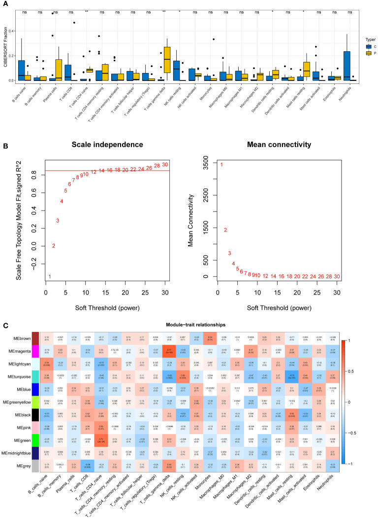 Figure 3