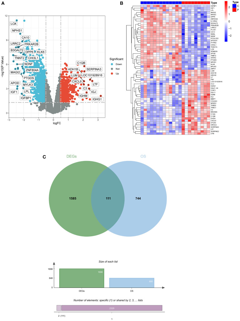 Figure 2