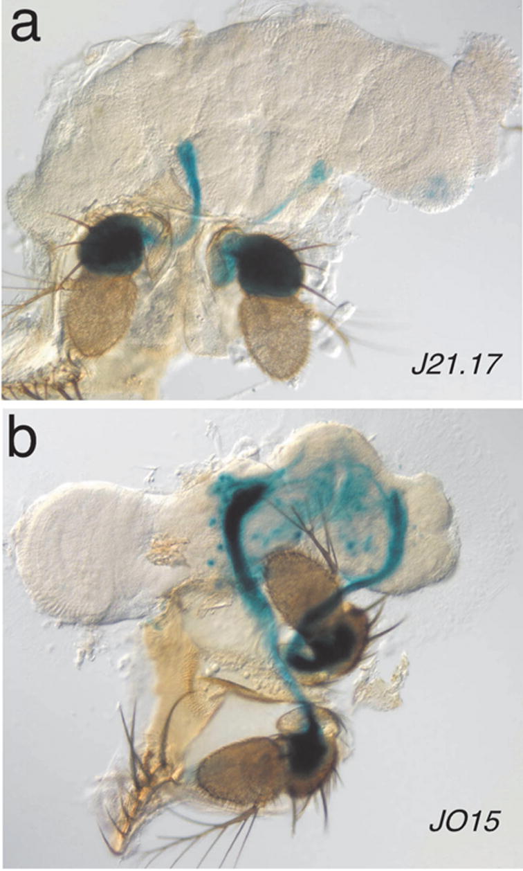 FIG. 3