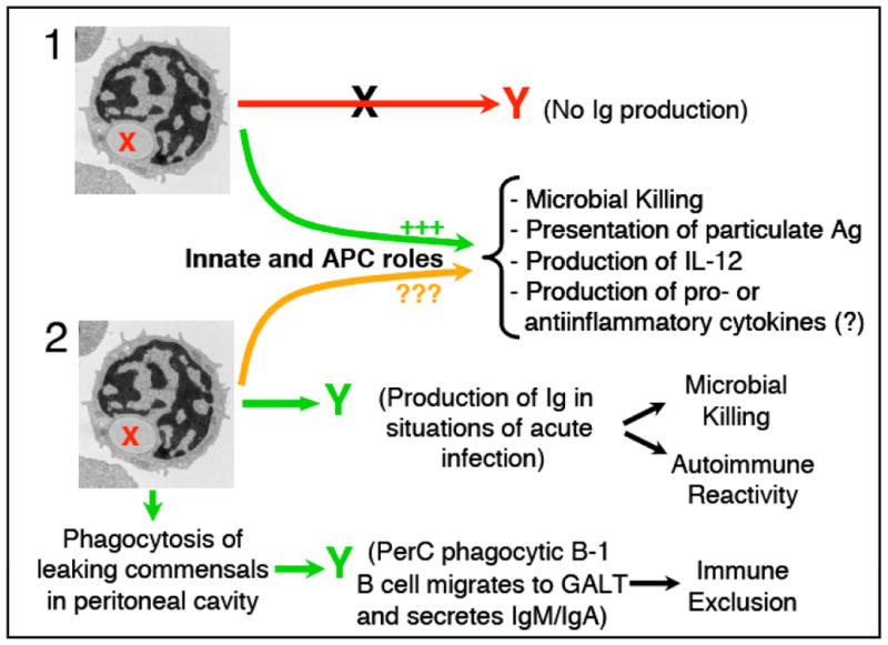 Fig. (3)