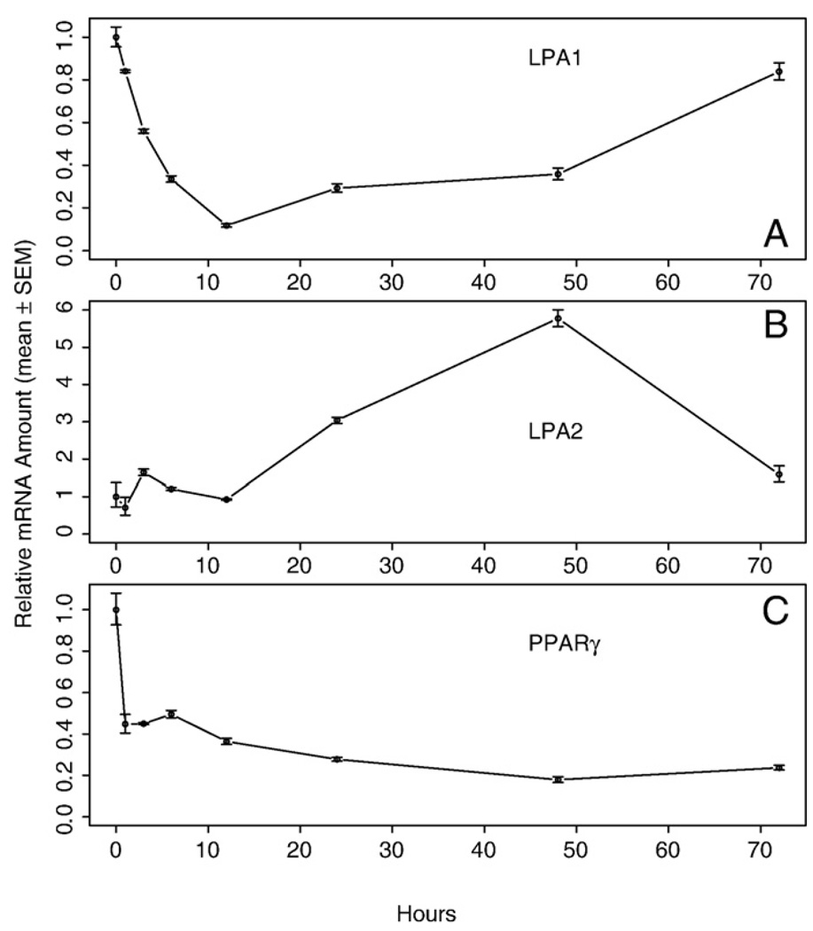 Fig. 9