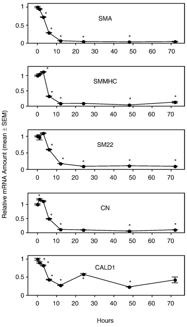 Fig. 8