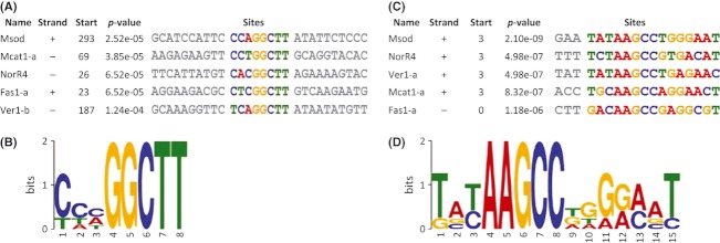 Figure 5