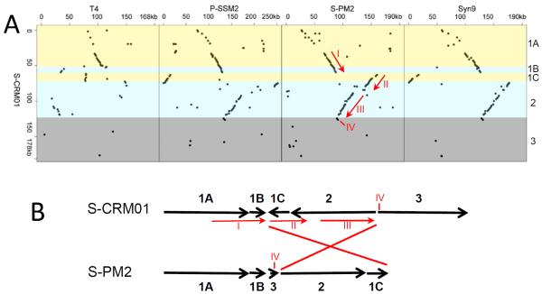 Fig. 4