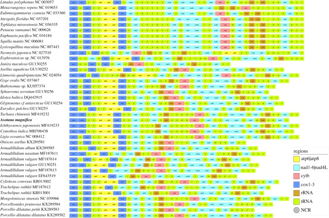 Figure 2.