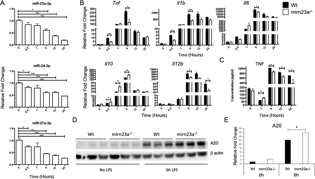 Fig 3.