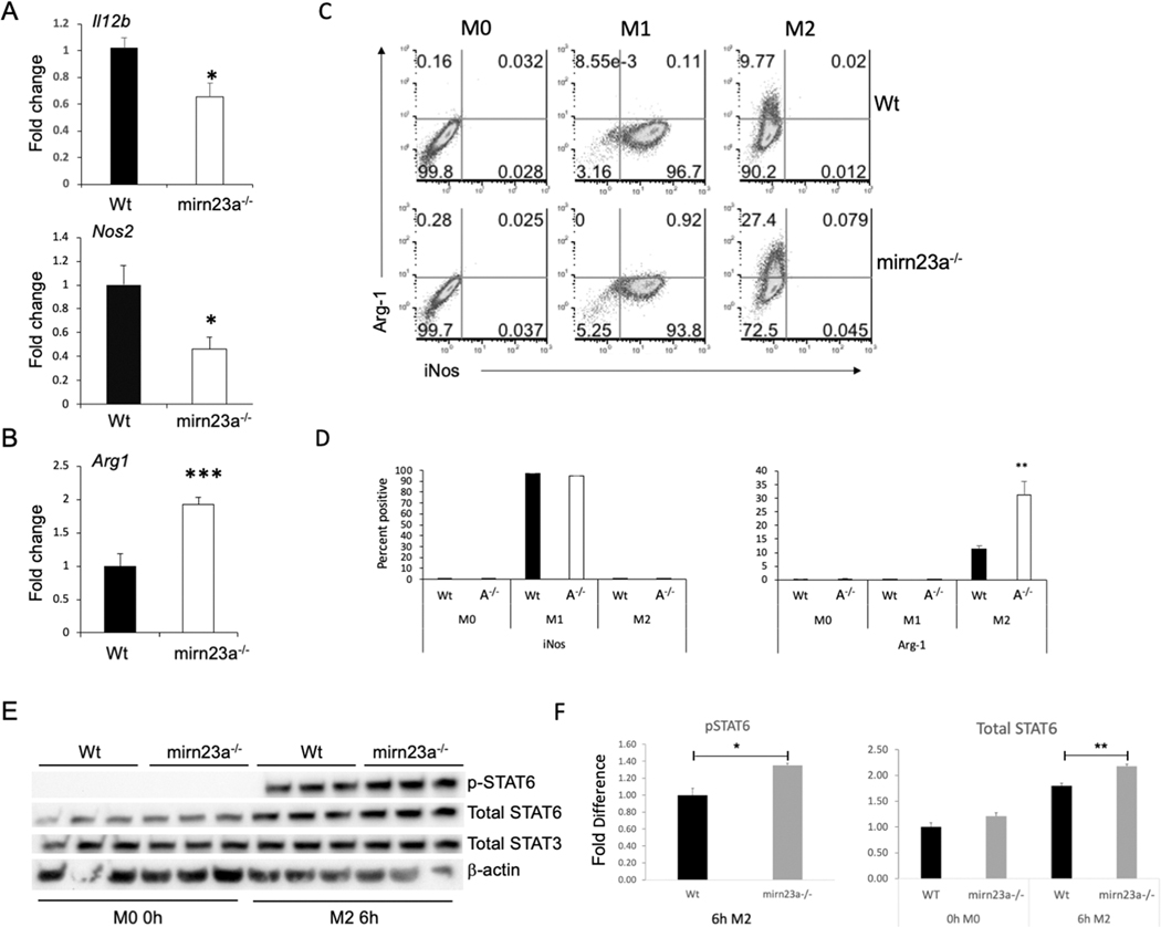 Fig 4.