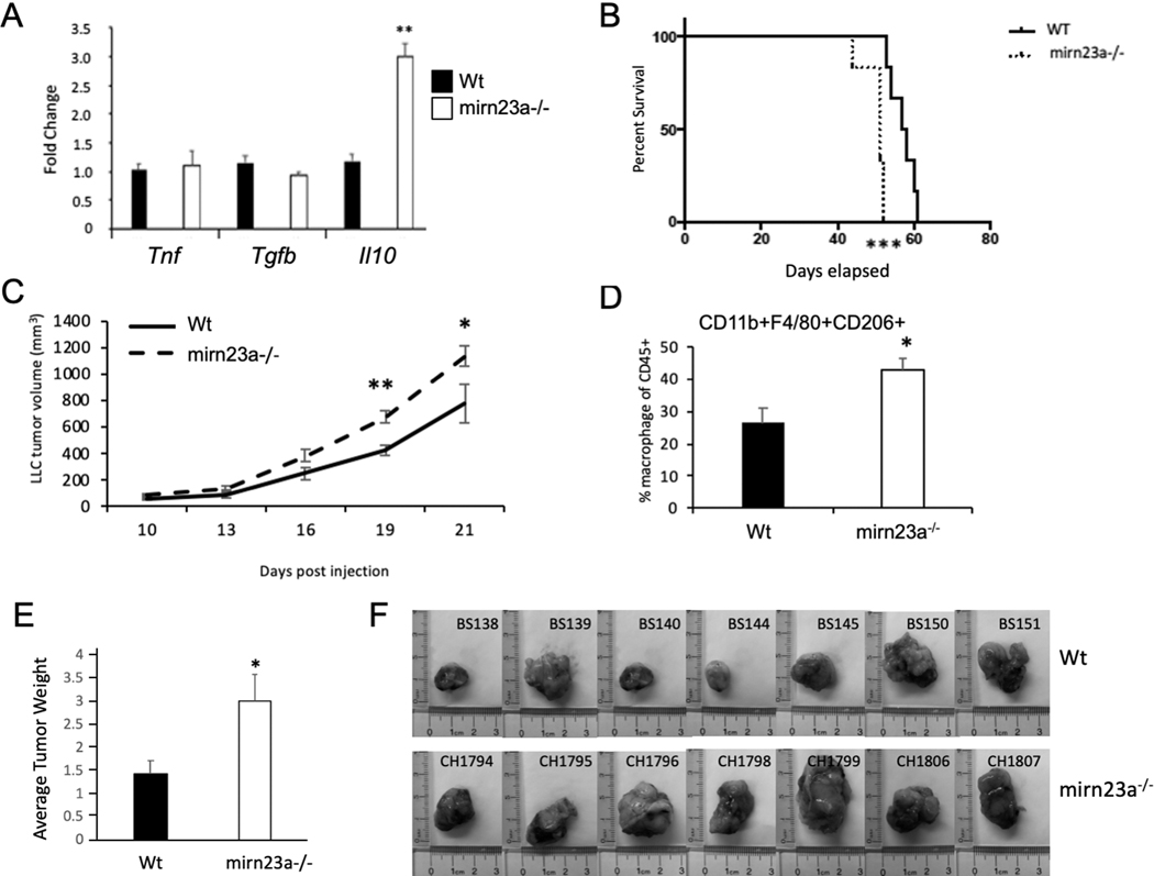 Fig 6.