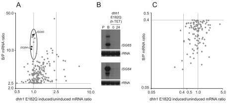 Fig. 9.