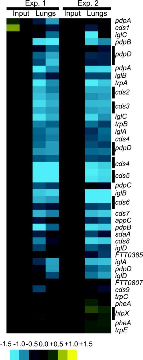 FIG. 1.