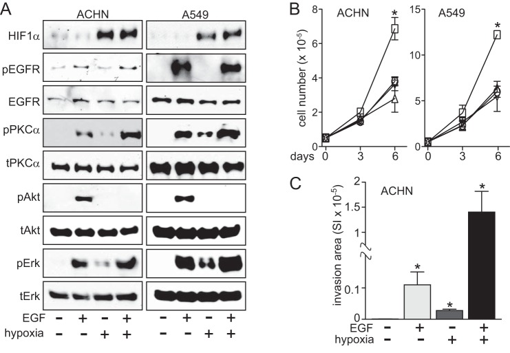 FIGURE 12.