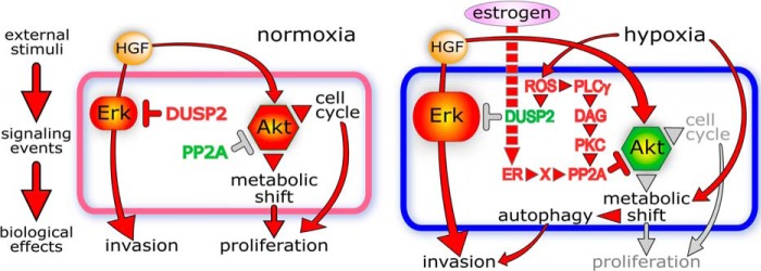 FIGURE 13.