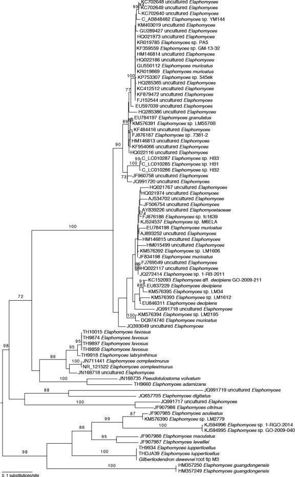 Fig. 2.