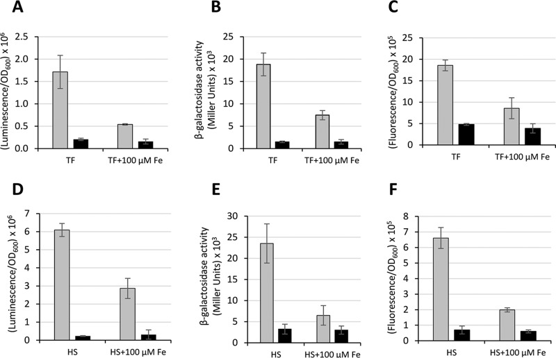 FIG 6