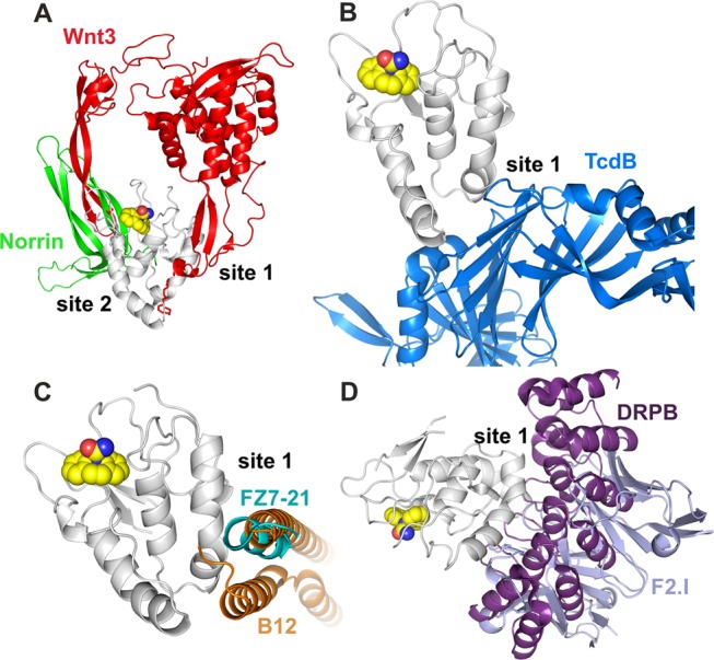 Figure 4