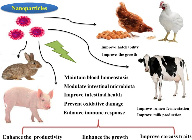 Figure 3.