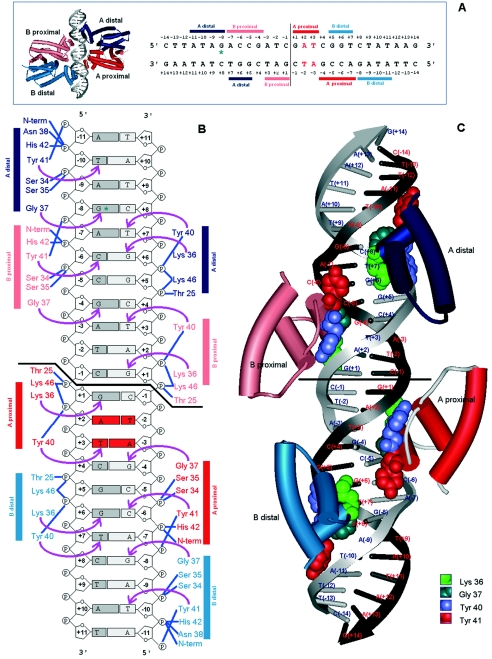 FIG. 6.