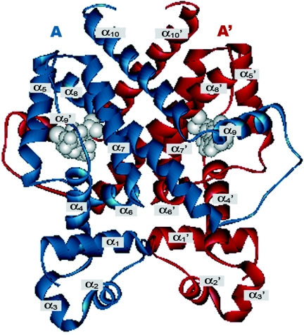 FIG. 2.