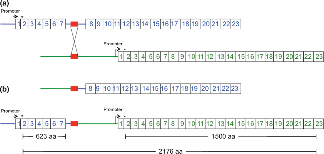 Fig. 1