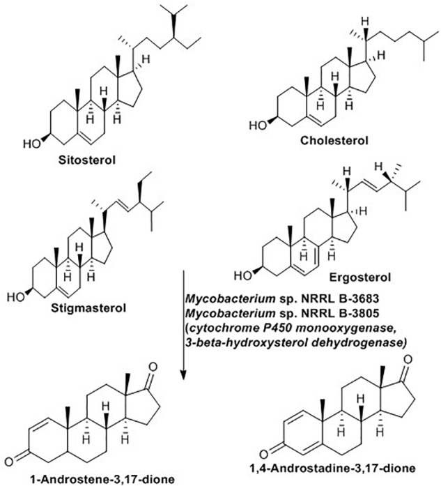 FIGURE 9