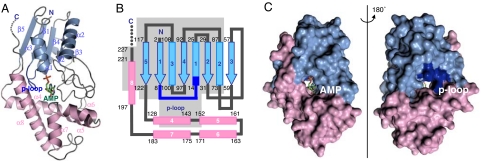 Fig. 1.