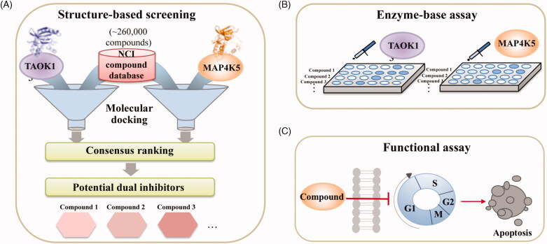 Figure 1.