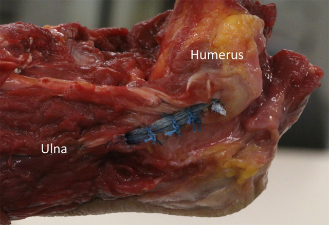 Figure 4.