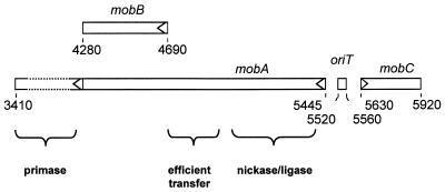 FIG. 1