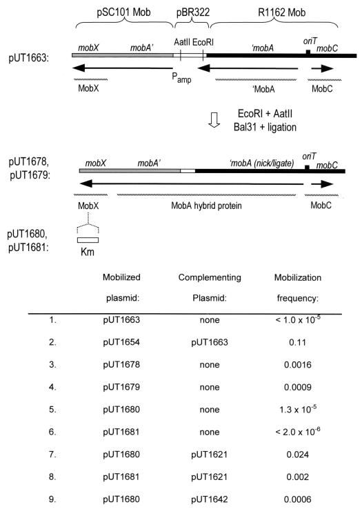 FIG. 5