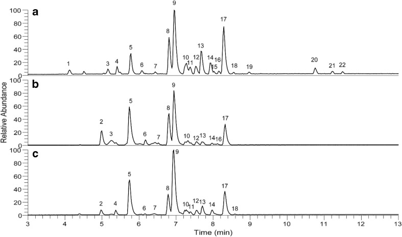 Fig. 5