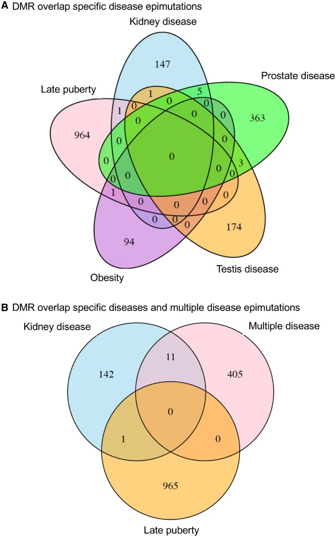 Figure 5: