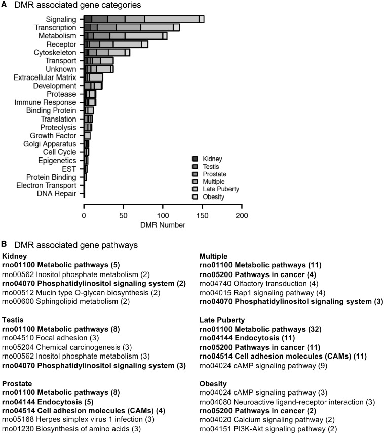 Figure 6: