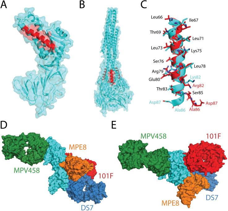 Fig 4