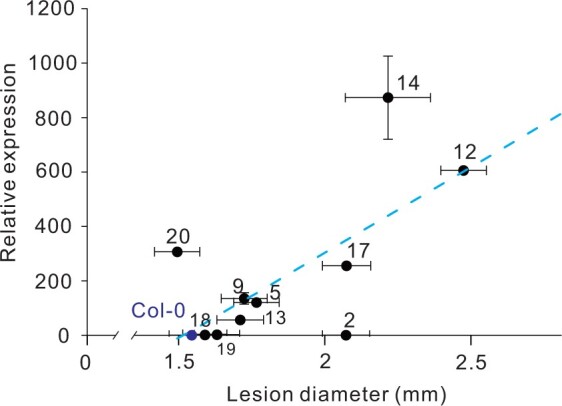 Figure 6