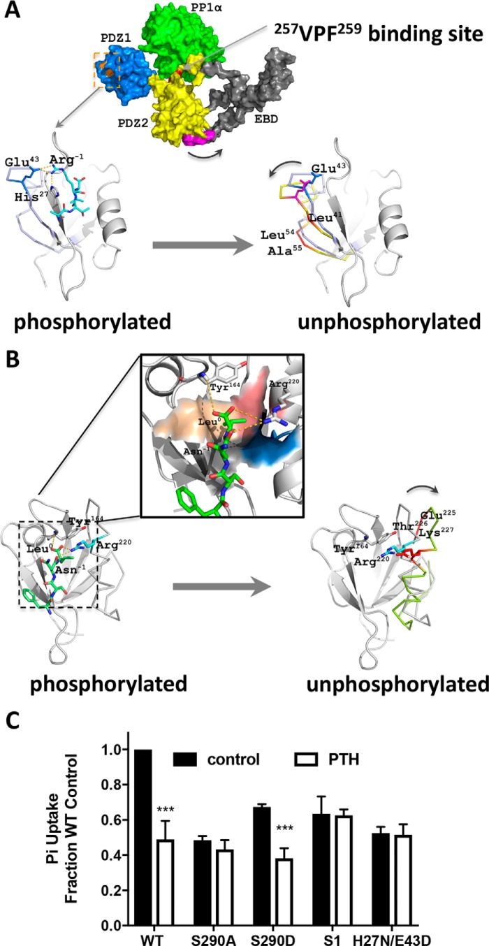 Figure 10.