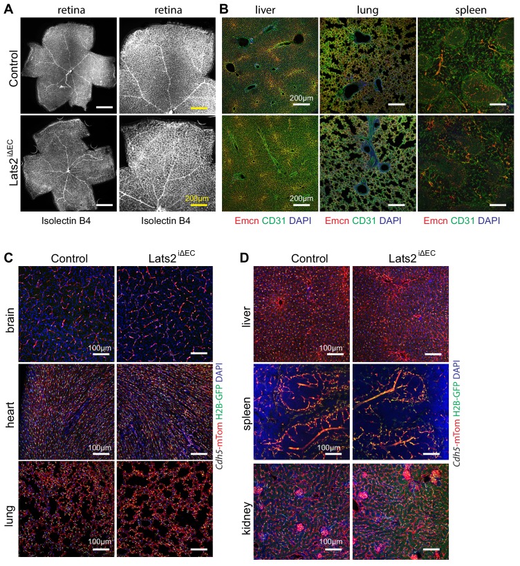 Figure 3—figure supplement 3.