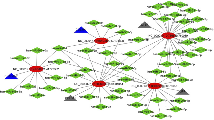 FIGURE 5