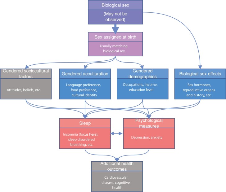 The figure provides a flowchart demonstrating how biological sex at birth affects multiple factors to lead to sex differences in health outcomes.